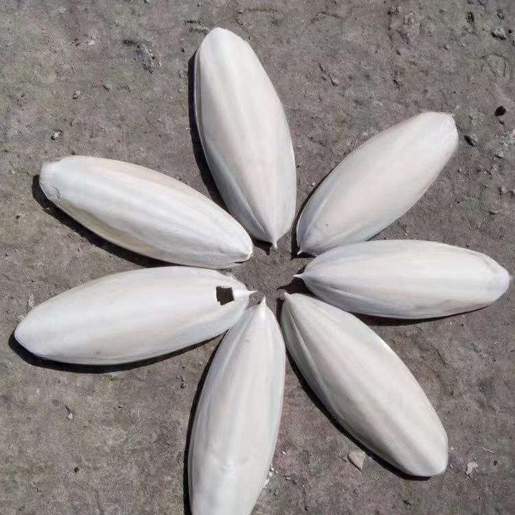 ī~P(gun)